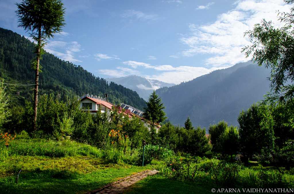 exotic manali