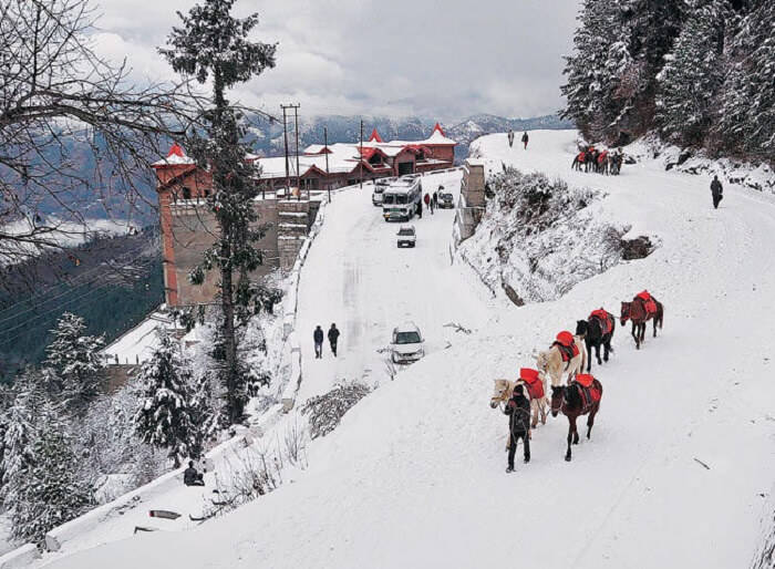 shimla honeymoon with photo shoot