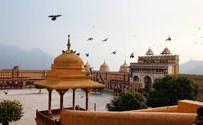 experience the magic of rajasthan