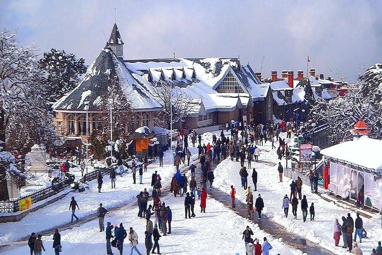 luxurious escape to shimla