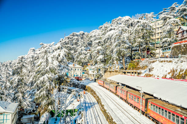 luxurious escape to shimla