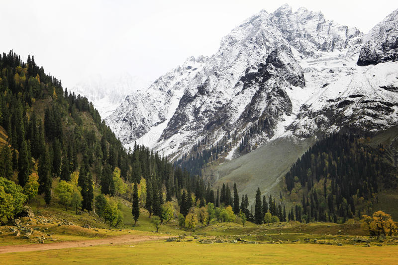 fascinating kashmir