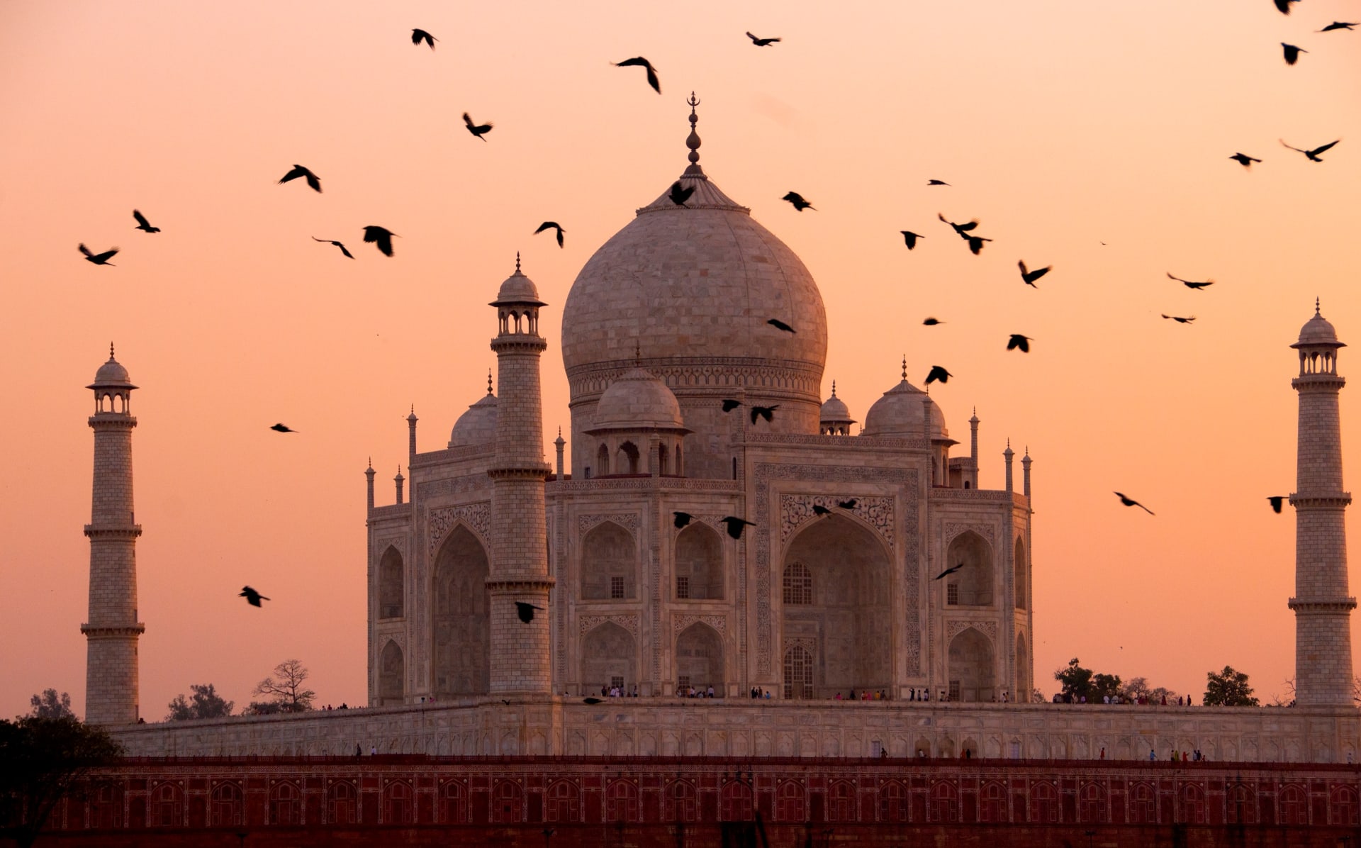 discovering golden triangle tour package